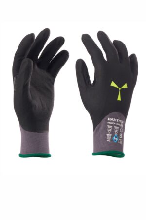 P/TOUCH 15FULL (12er Pack)